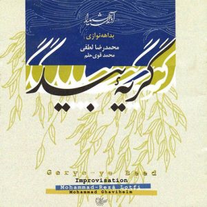 آلبوم گریه ی بید | بداهه نوازی محمد رضا لطفی و محمد قوی حلم